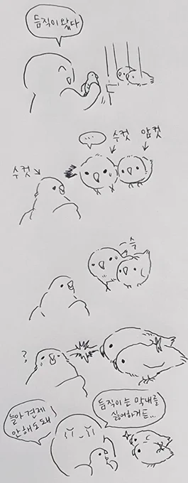 듬직이를 보여주면 늘이가 막내등에 다리를 올리고 자기꺼라고 어필을 하더라고요ㅋㅋ 듬직이 취향은 강한 수컷이야... 