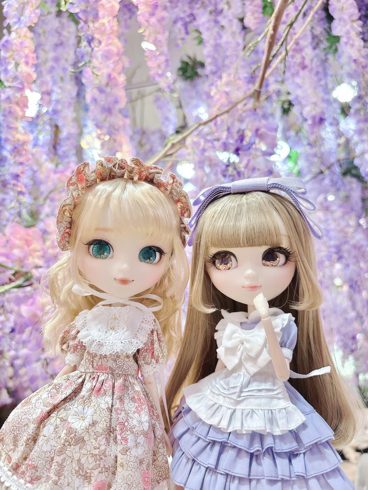 Pullip - Search / X