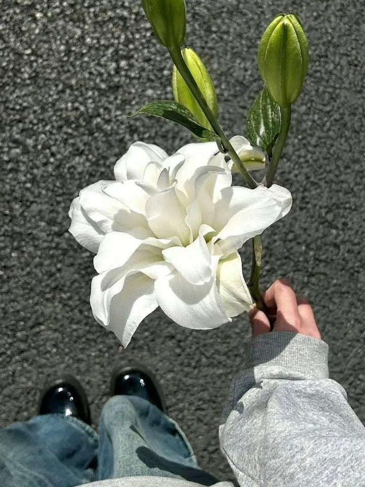 sera (@seraphicxc) on Twitter photo 