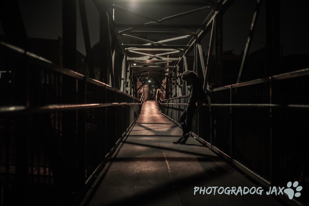 You ever feel like a shadow? 

Something that's present but never truly acknowledged.

📸 <a href="/photogradogJax/">Jax</a>