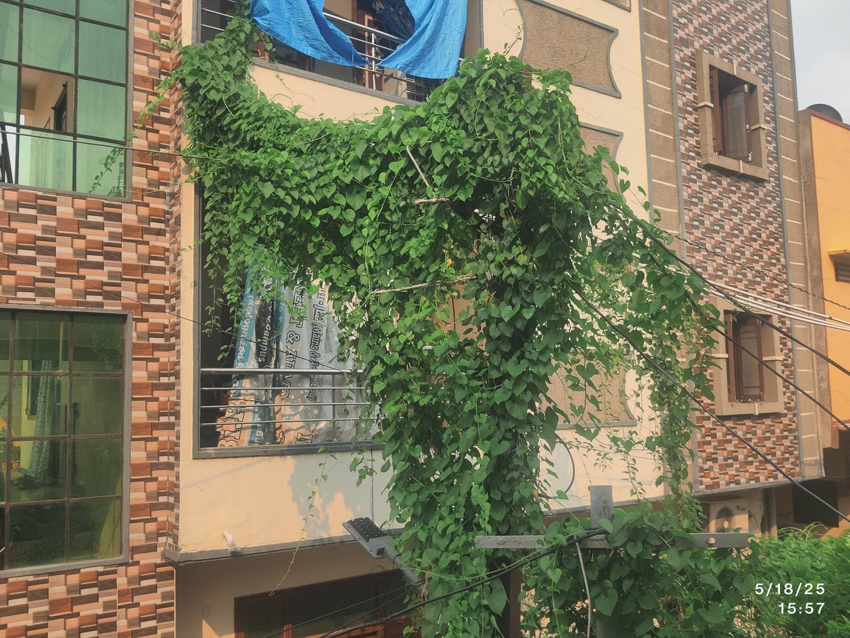 Aziz Ahmed tweet media