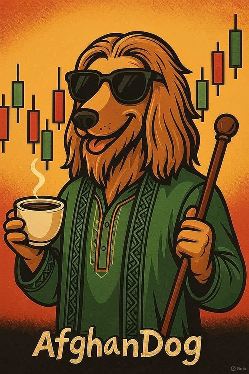 afghandog94's tweet photo. @cryptogoos #AfghanDog 😎✌🏻 https://t.co/uNWu1if0kI