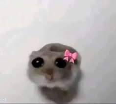 Y....y.........cómo puede ponerse en contacto con Edgar.