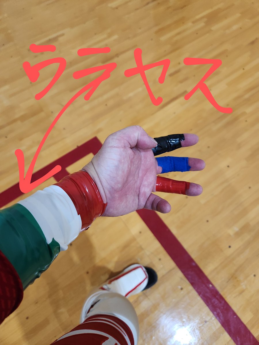 大好きな浦安さんがいない大会。ハトマスクの一部に統合されて生き続けている…
#デワプロ