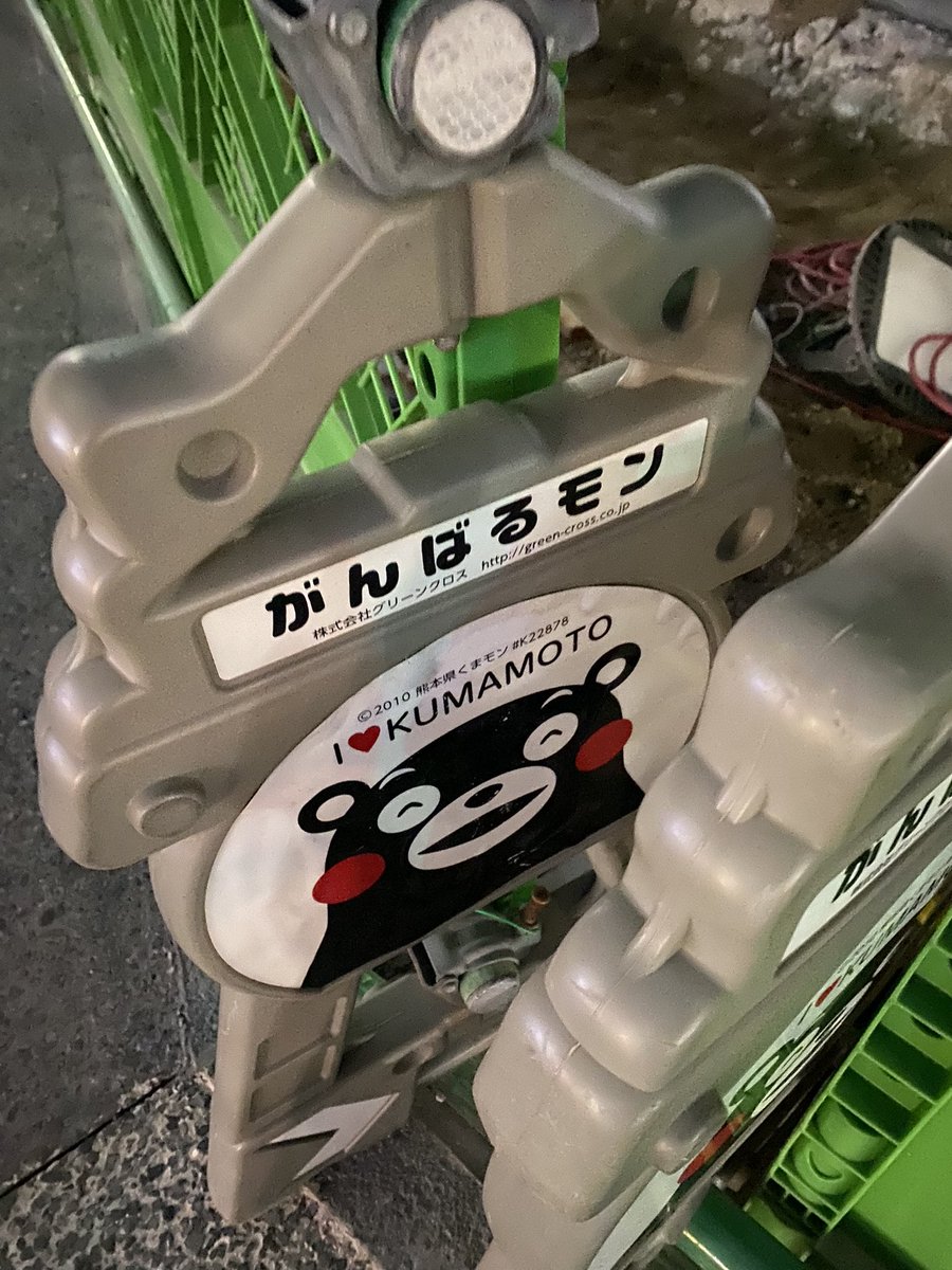 児塚あすか@火の国系シンガー🐻⛰ tweet media