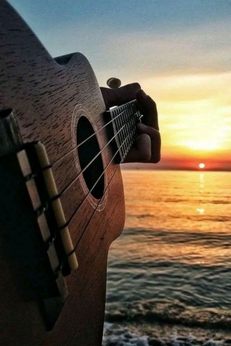 بعض الكلمات أشبه بالألحان
منها من يلمس القلوب، ويحركها
ومنها ما يكسر القلوب ، ويقتلها
فاعزفوا ألحانكم برفق 🌺