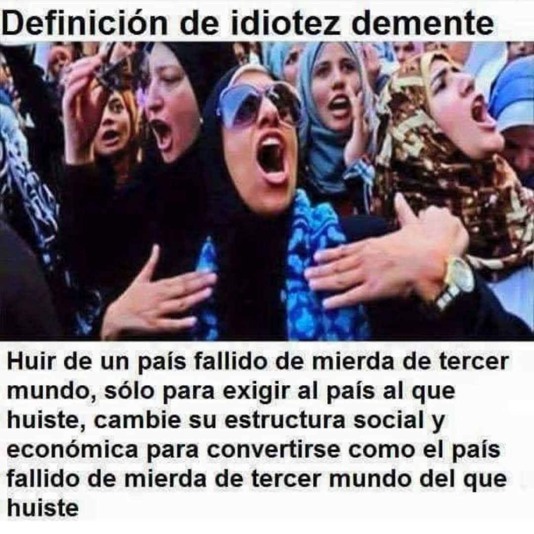 EduardoBr77's tweet image. 