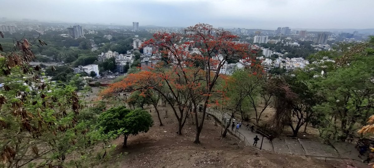 Radeej's tweet photo. Today I walked at Taljai Tekdi, Pune, India and then I had Mushroom Quiche https://t.co/hrAyOCC6cM