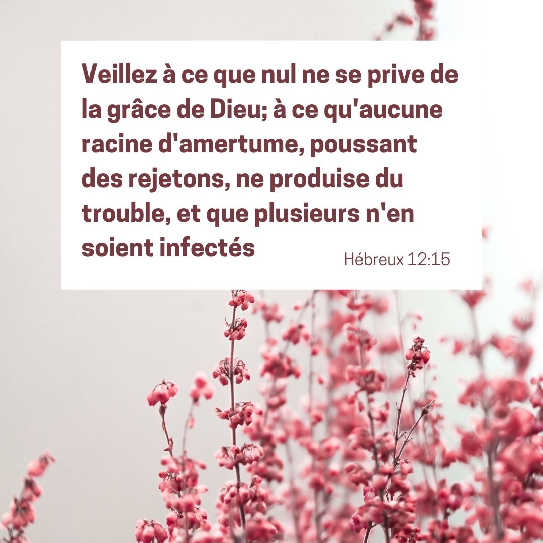 La Bible (@la_bible) on Twitter photo 