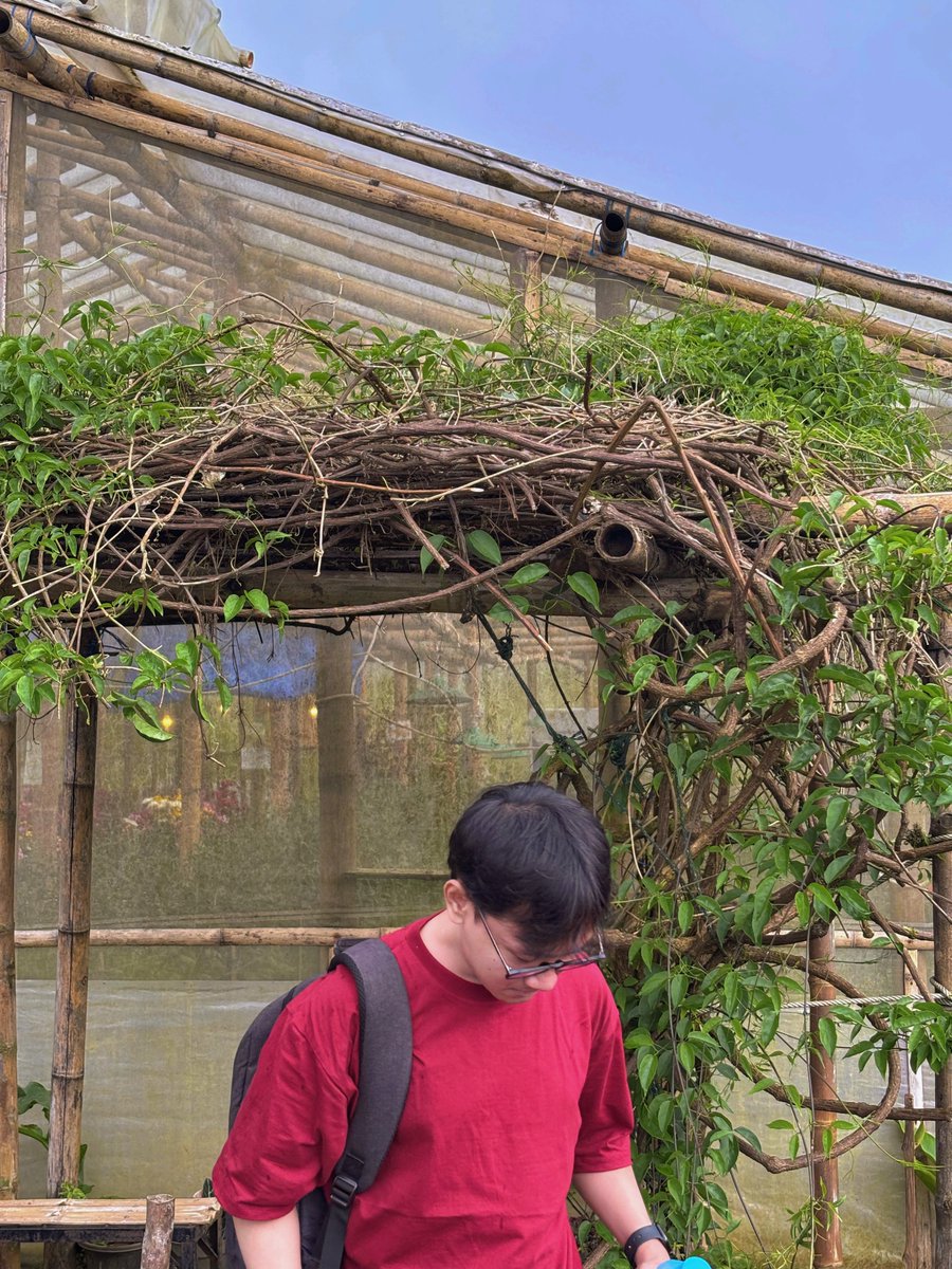 Lost? Maybe. But not in a bad way 🍃
#makassar