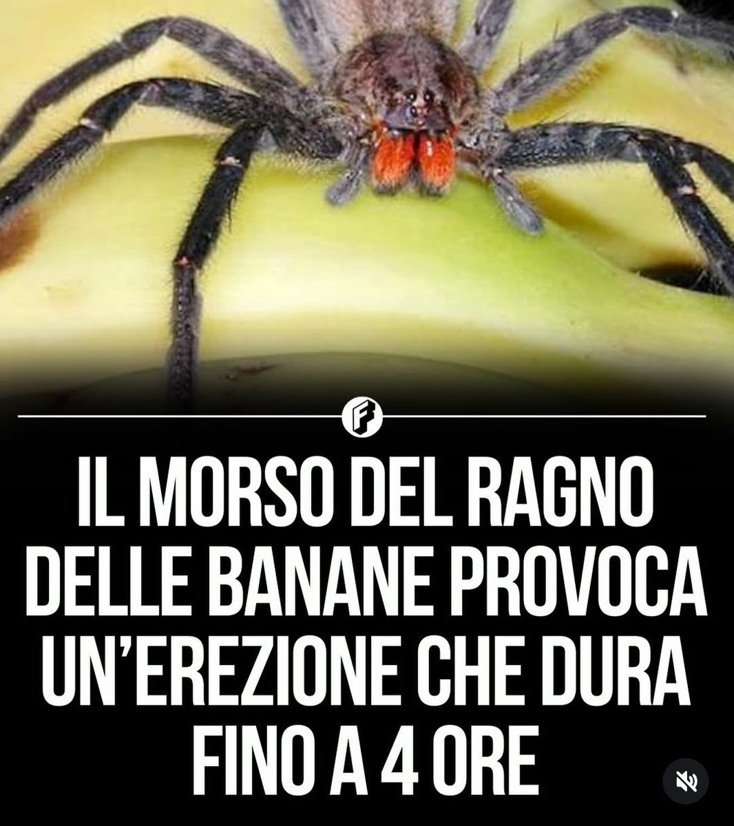 Njckolas tweet media