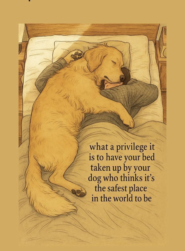 𝕏 Dogs (@_xdogs) on Twitter photo 