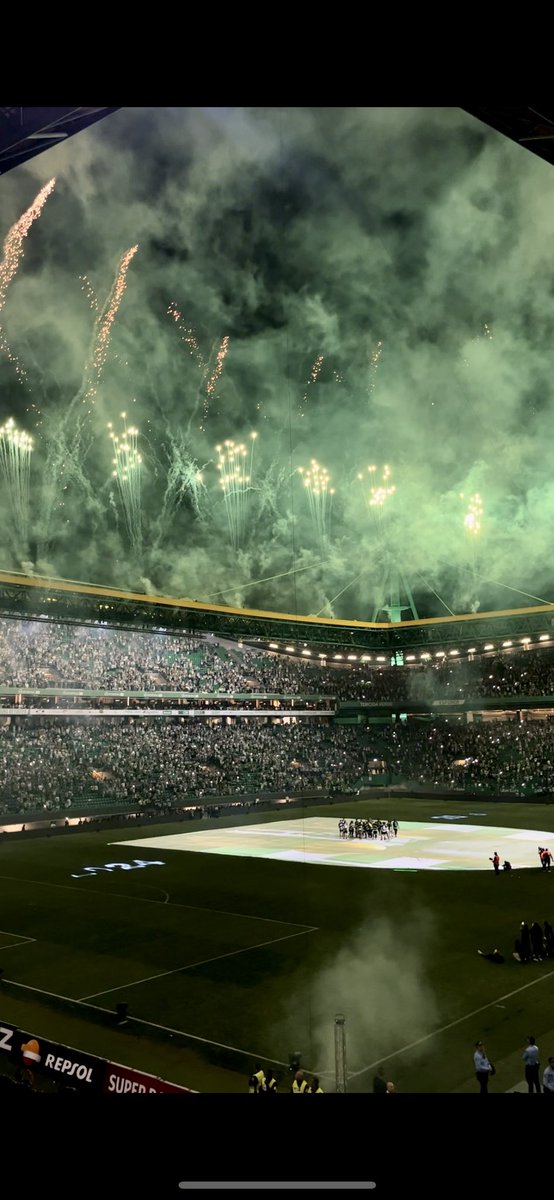 não foi um sonho! SOMOS BICAMPEÕES CARALHO 💚 depois de se fazerem 50 mil omeletes sem ovos. conseguimos 🏆 amo-te meu amor, hoje e sempre!