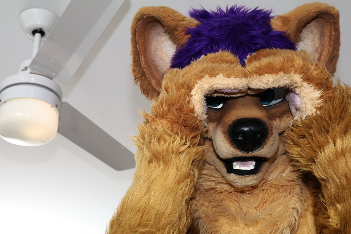 Kal Dingo (@kalthedingo) on Twitter photo I see you little spaz! I see you little spaz!