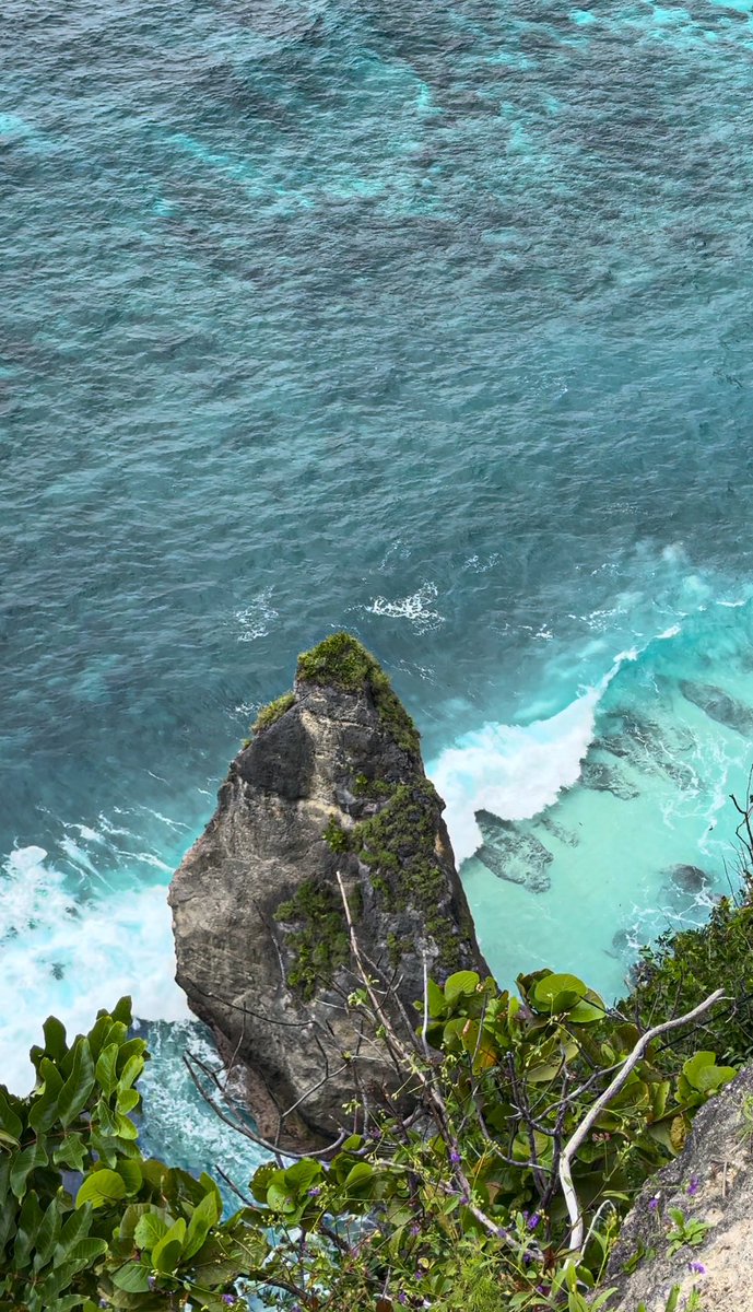 Lilia 🇵🇸 tweet media