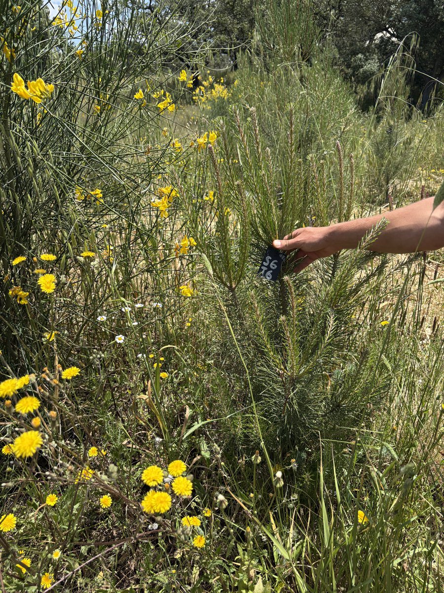 ReFi Mediterranean (@refi_med) on Twitter photo a beautiful weekend of learning, sharing, connecting, and inspiring at <a href="/tdfinyourdreams/">traditionaldreamfactory ๐ฑ $TDF ๐</a> in Portugal.
<a href="/Maria__Falbo/">Maria Falbo</a>
<a href="/MontyMerlin/">Monty Merlin Bryant ๐งโจ</a>
<a href="/samueldelesque/">Sam | ๐ $TDF ๐ | ๐ Portugal</a>
<a href="/ReFiDAOist/">ReFi DAO ๐ชฉ</a> a beautiful weekend of learning, sharing, connecting, and inspiring at <a href="/tdfinyourdreams/">traditionaldreamfactory ๐ฑ $TDF ๐</a> in Portugal.
<a href="/Maria__Falbo/">Maria Falbo</a>
<a href="/MontyMerlin/">Monty Merlin Bryant ๐งโจ</a>
<a href="/samueldelesque/">Sam | ๐ $TDF ๐ | ๐ Portugal</a>
<a href="/ReFiDAOist/">ReFi DAO ๐ชฉ</a>