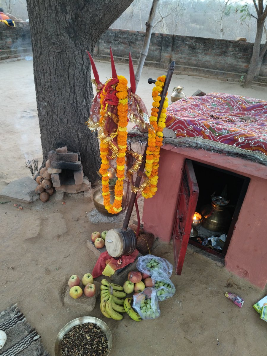 श्री ॐ श्री 🙏 कृपा छांव में