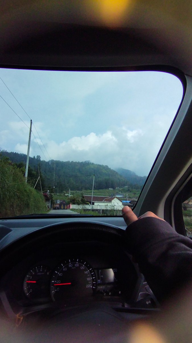 pancalputih's tweet photo. Safe and sound 🌲 https://t.co/gkbtEPFS0U