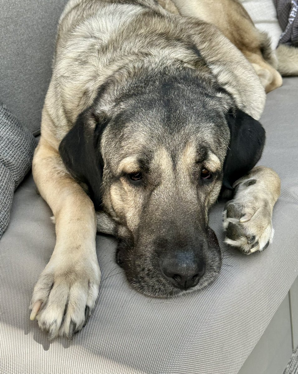 Outdoor-Mittagspause aufm Sofa einfach „beschte“ 🥰 
Habt noch einen schönen Sonntag!