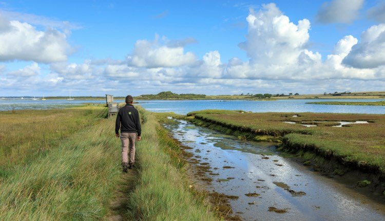 Visit Isle Of Wight (@visitiow) on Twitter photo 'Newtown: From a Medieval town to a saltmarsh' Guided Walk🥾
Join <a href="/ntisleofwight/">National Trust Isle of Wight</a> for a guided walk around Newtown National Nature Reserve, where they'll share fascinating stories from its rich history.
ℹ️tinyurl.com/r48x7xmj
#WeCantWaitToShowYou #IsleofWight 'Newtown: From a Medieval town to a saltmarsh' Guided Walk🥾
Join <a href="/ntisleofwight/">National Trust Isle of Wight</a> for a guided walk around Newtown National Nature Reserve, where they'll share fascinating stories from its rich history.
ℹ️tinyurl.com/r48x7xmj
#WeCantWaitToShowYou #IsleofWight