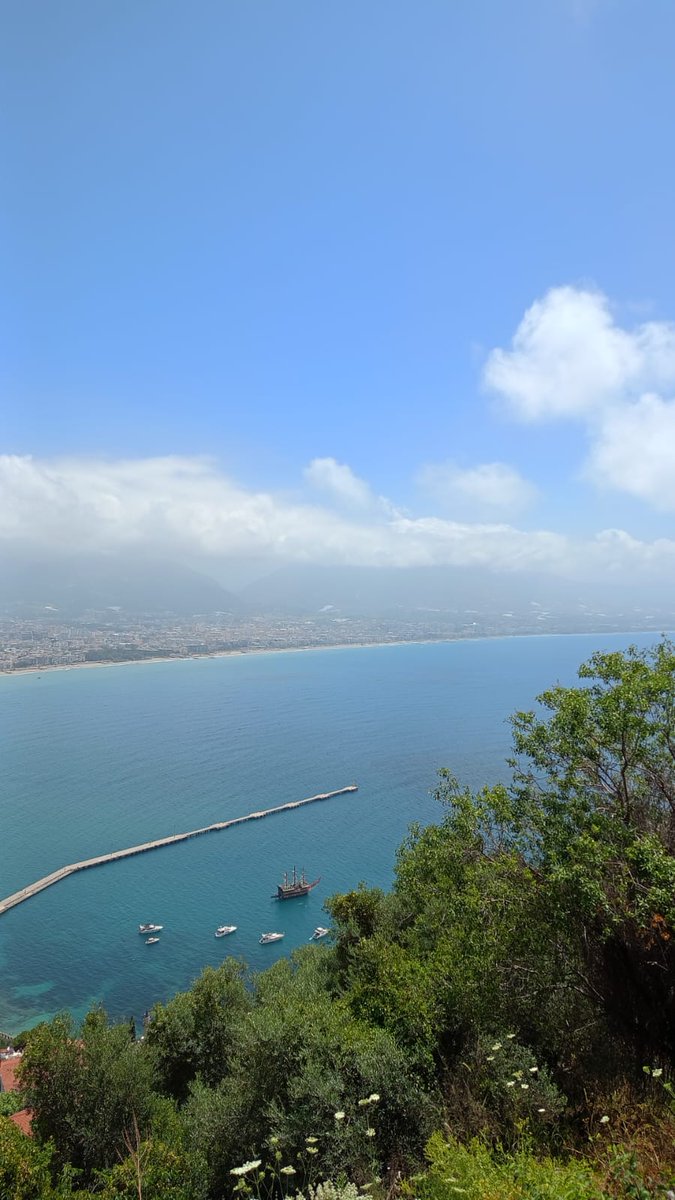 Canan033's tweet image. Pazar💙