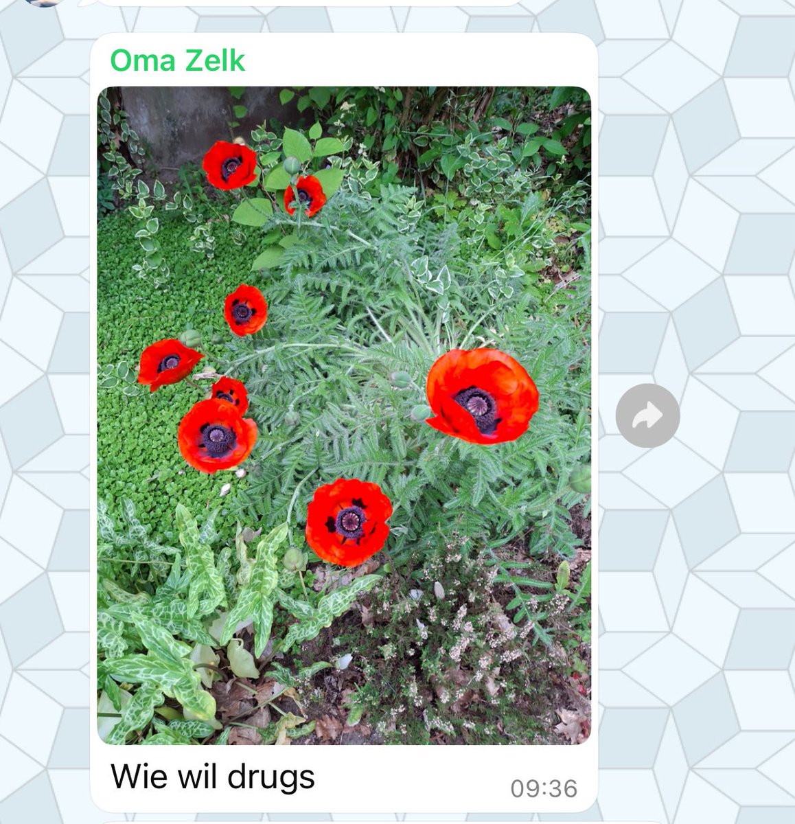 Oké oma. 

Wie heeft er een dealer nodig als je zo’n oma hebt.