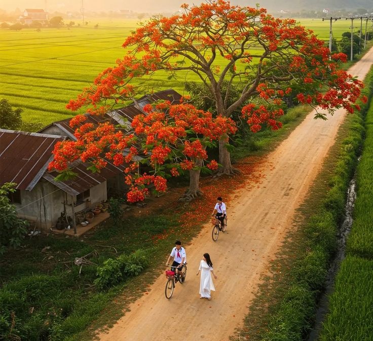 গাওঁৰ সেই দীঘল ৰাস্তা, কৃষ্ণচূড়াৰ দলিচা, সেউজীয়া পথাৰ আৰু স্কুলীয়া প্ৰেমৰ ছবি প্ৰতিস্ফুট হৈ পৰা এখন ধুনীয়া ফটো। ❤🌿