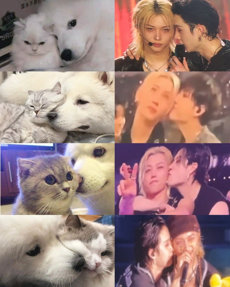 catty ꒰🍅꒱ ชอบบังชาน ｡ (@hheymint) on Twitter photo 