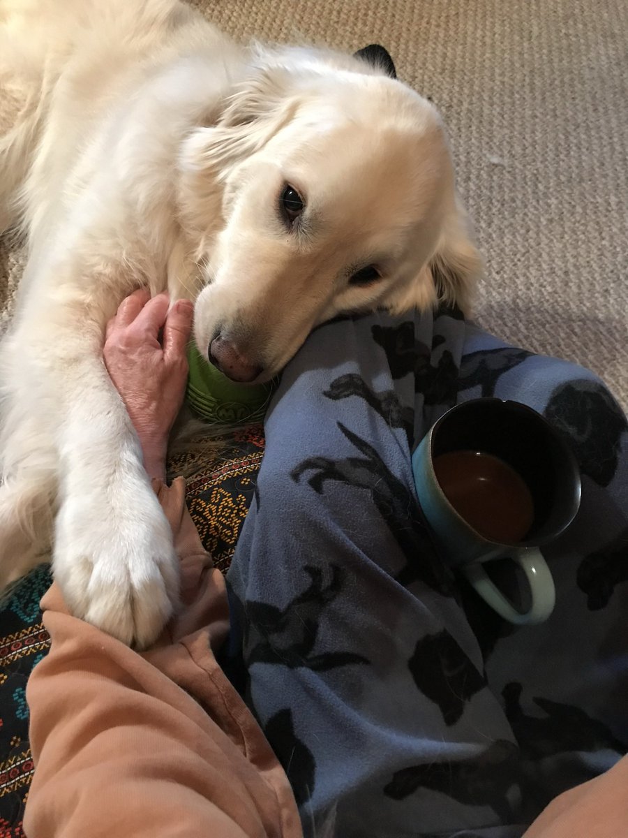 Sunday morning quiet time. I told Mom I love her more than I love napping and peanut butter treatos. And that is a lot. Some days humans need to know your love is unconditional.