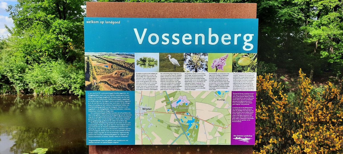 Roelof Koops tweet media