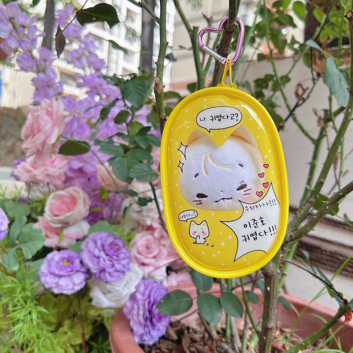 ⠀⠀  。　♥ 。　♡。　♥    。
    ♡。　 ＼　　｜　　／。　 ♡
             
               세계 최강 귀요미 
            누누냥 - 소개합니다!

    🐱。　 ／　　｜　　＼。  🐱
         。　♡。    🐱。　 ♡ 。

𝑪𝑶𝑴𝑰𝑵𝑮 𝑺𝑶𝑶𝑵…