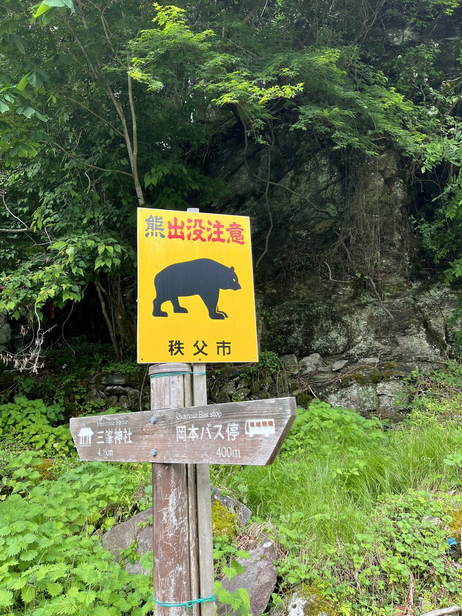 Trail run in Chichibu. I need to do more exploring in the area.