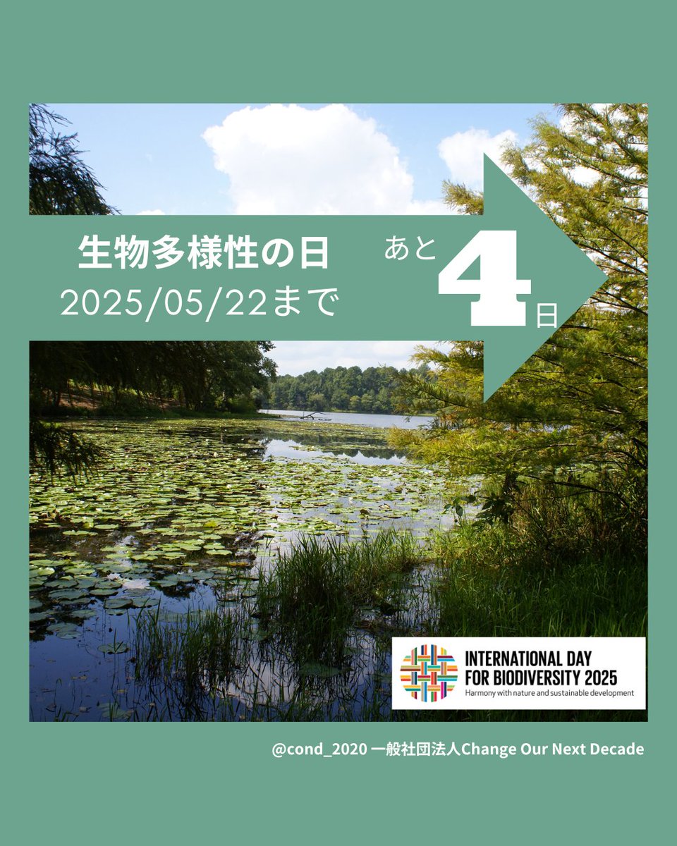 COND_2020's tweet photo. 5月22日は【#生物多様性の日】

#生物多様性 は、地球上の生命にとって不可欠です。水や食べ物、空気など、私たちの#日常 を支えています。

これを機に、生物多様性 や、生物多様性の日 について知っていただけると幸いです！

#COND #youth #biodiversity #BiodiversityDay #ユース #環境問題 https://t.co/By4fvhxmAB