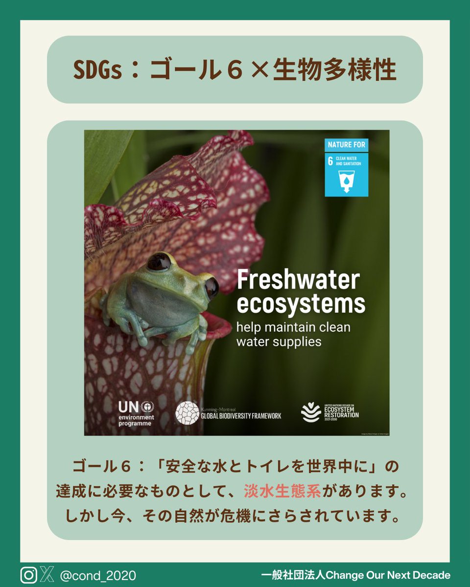 COND_2020's tweet photo. なぜ5月22日が生物多様性の日なの？
☞#生物多様性条約 が採択された日に由来します。

今年のテーマは？
☞ Harmony with nature and sustainable development (自然との共生、持続可能な未来へ) です。

皆さんも、生物多様性について調べて見てください！
@unbiodiversity
  #GlobalGoals #KMGBF https://t.co/JyDiV0mD7s