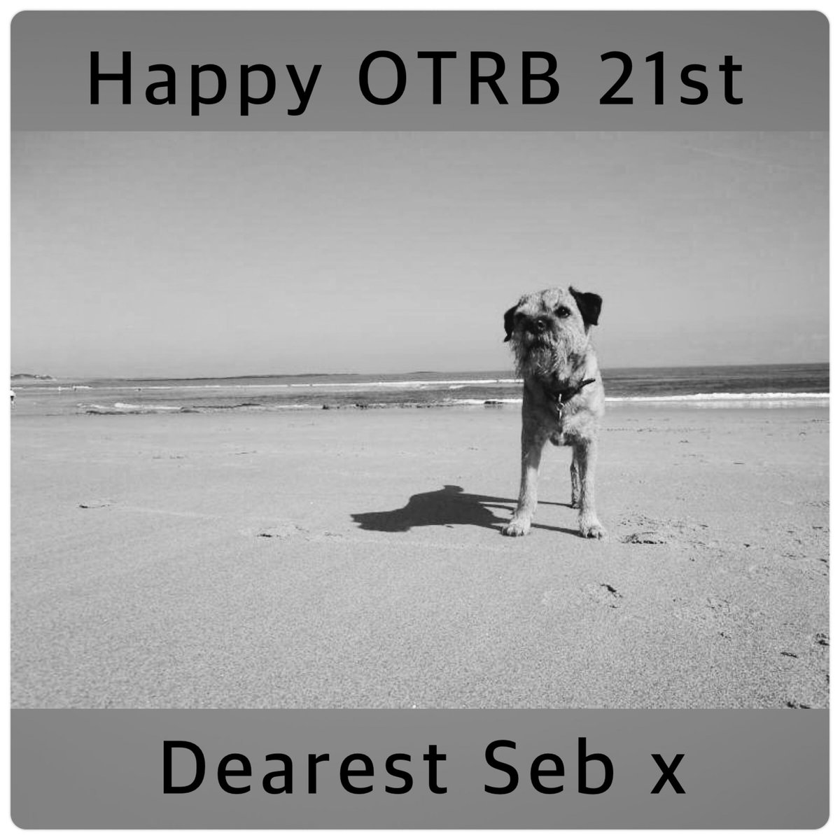 Sir Boots BT - bro to Sir Seb🌈💕 tweet media