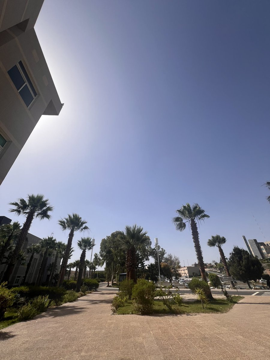 تقيم لفاينل اليوم
6.55