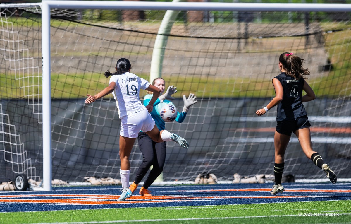 Alan Herzberg tweet media