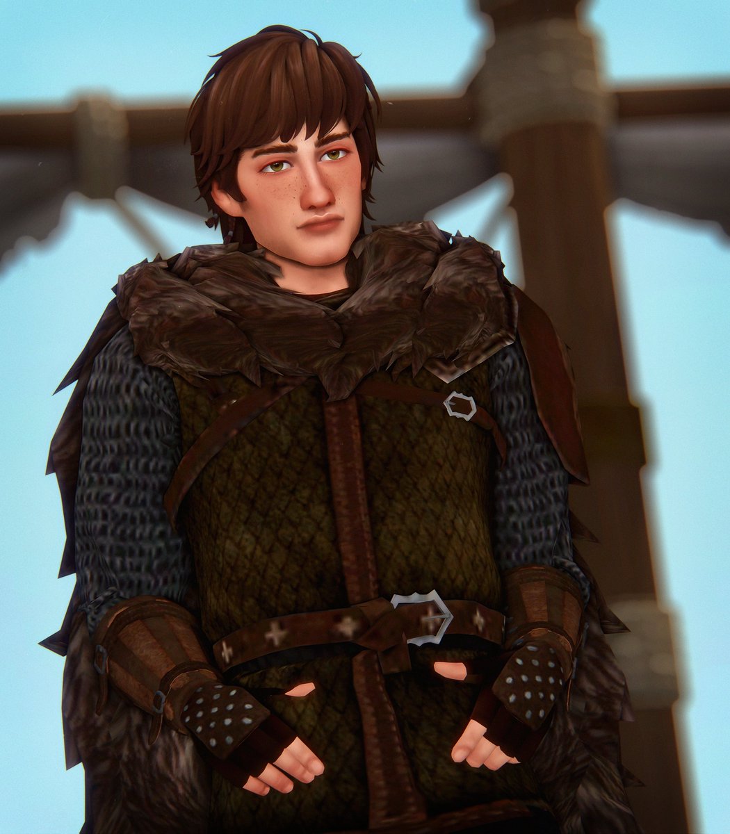 chief of berk🐲