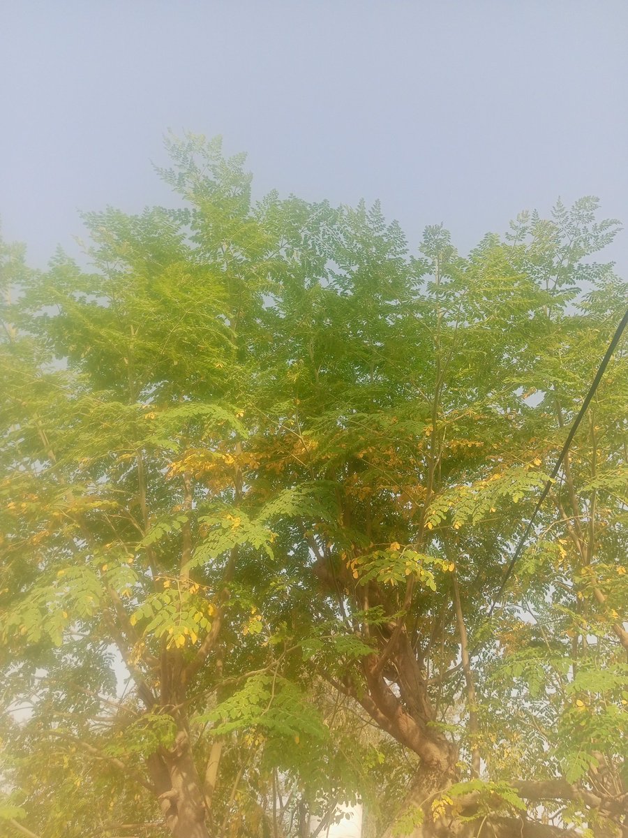 catherine lindberg (@cathlindberg) on Twitter photo 