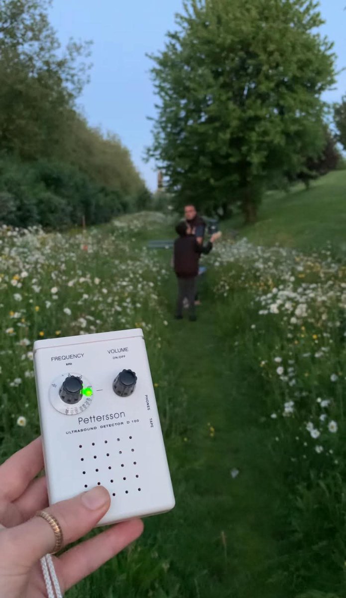 #Vleermuistelling op het <a href="/dakpark/">Stichting Dakpark</a> Rotterdam met de kinderclub op zaterdag 24 mei vanaf 19.30 uur (verzamelen in de buurttuin) tijdens de #Nationalevleermuizentelling 🦇. Meer informatie op de <a href="/Groene_agenda/">Groene Agenda</a> 📲: degroeneagenda.nl/site/event/vle… 🦇. Aanmelden is niet nodig (gratis).