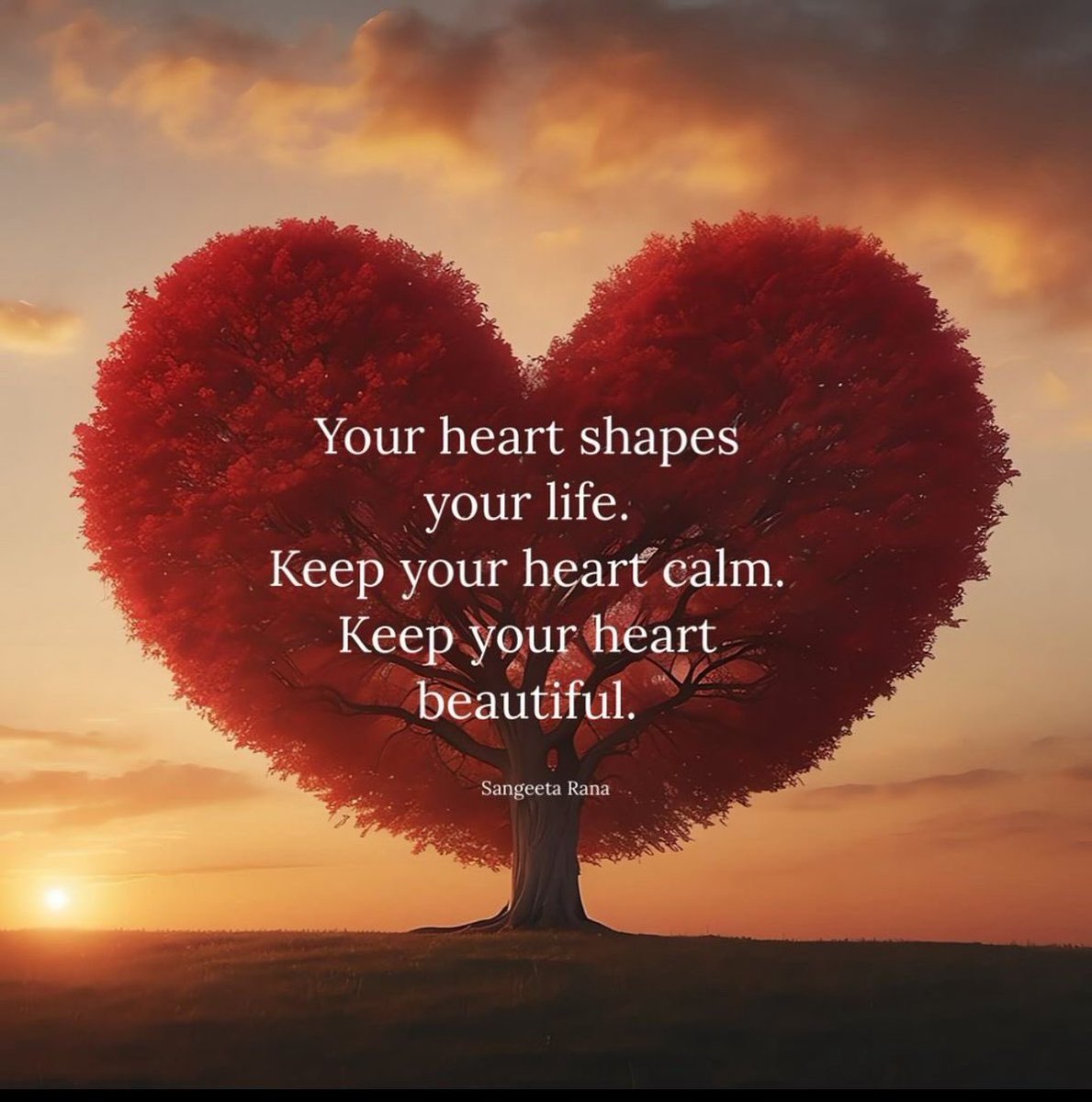 martymillionz's tweet image. Your heart shapes your life. Keep your heart calm. Keep your heart beautiful. #live #love #life #inspiration #motivation #kindness #happiness #peace #Sunday #SundayFeeling #SundayMotivation #SundayVibes