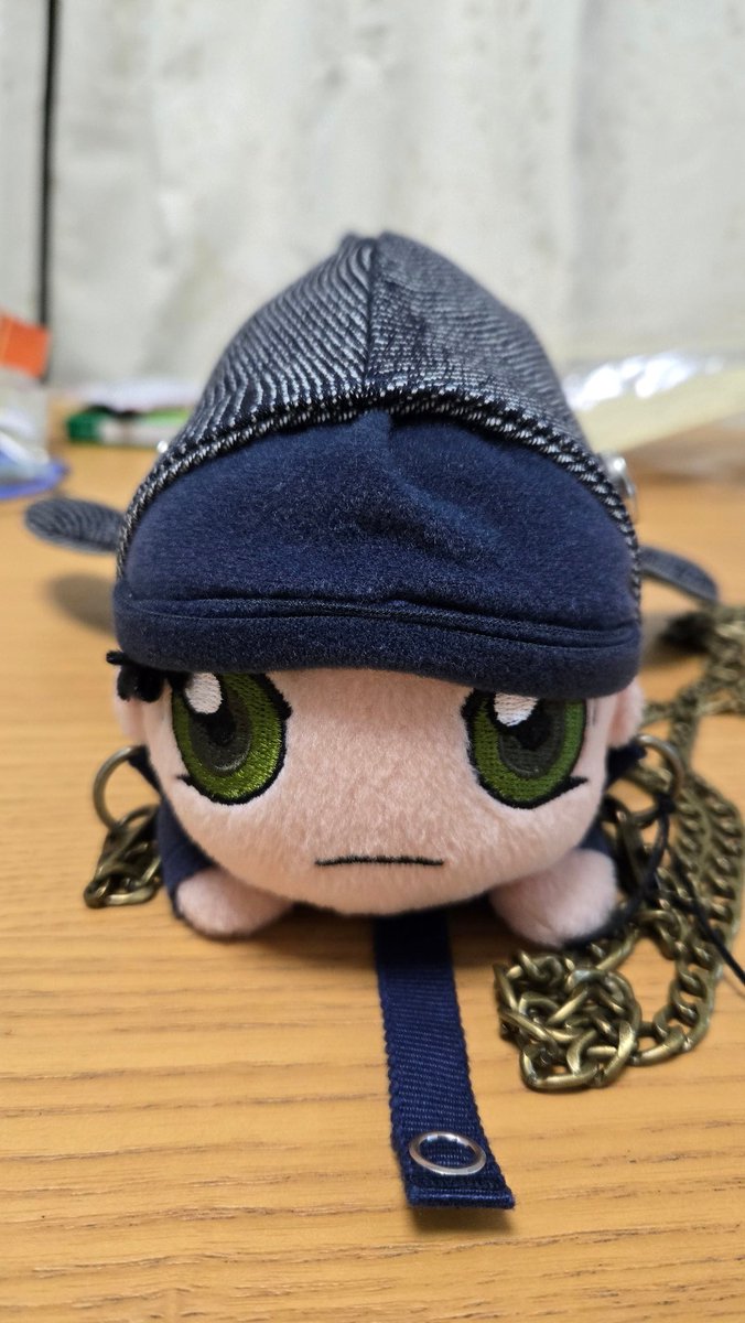 一目惚れしたのでサメちゃんのポーチ？買っちゃった
寝そべりぬいの赤井さんがジャストフィットして笑ってる