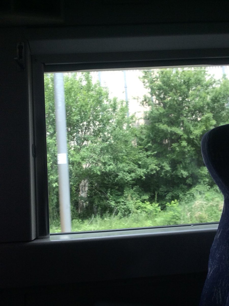 fevertk8's tweet image. 기차여행🚍🚏