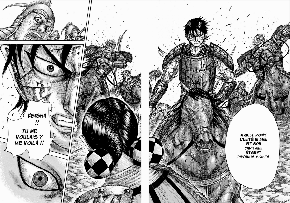 J'ai commencé Kingdom y a 1 mois désormais je suis au tome 44 c'est vraiment la meilleure découverte que j'ai pu faire depuis les 5 dernières années. L'évolution de Shin est incroyable