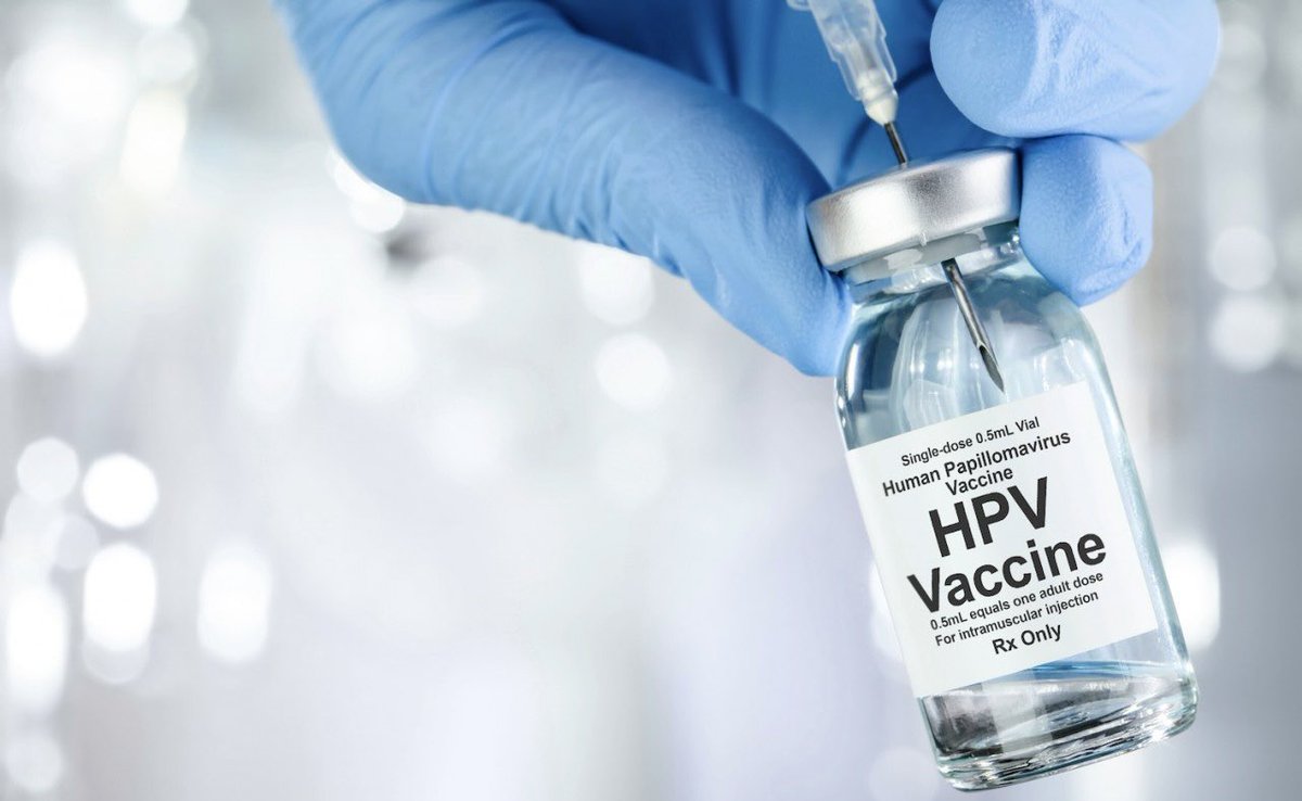 Formation en présentiel

« Papillomavirus humains (PVH) : Module avancé pour les traducteurs et interprètes »
Katarzyna Szymańska

Lyon🇫🇷 : <a href="/SFTfr/">SFT</a>, 13 juin
Info : sft-services.catalogueformpro.com/2/traduction-s…