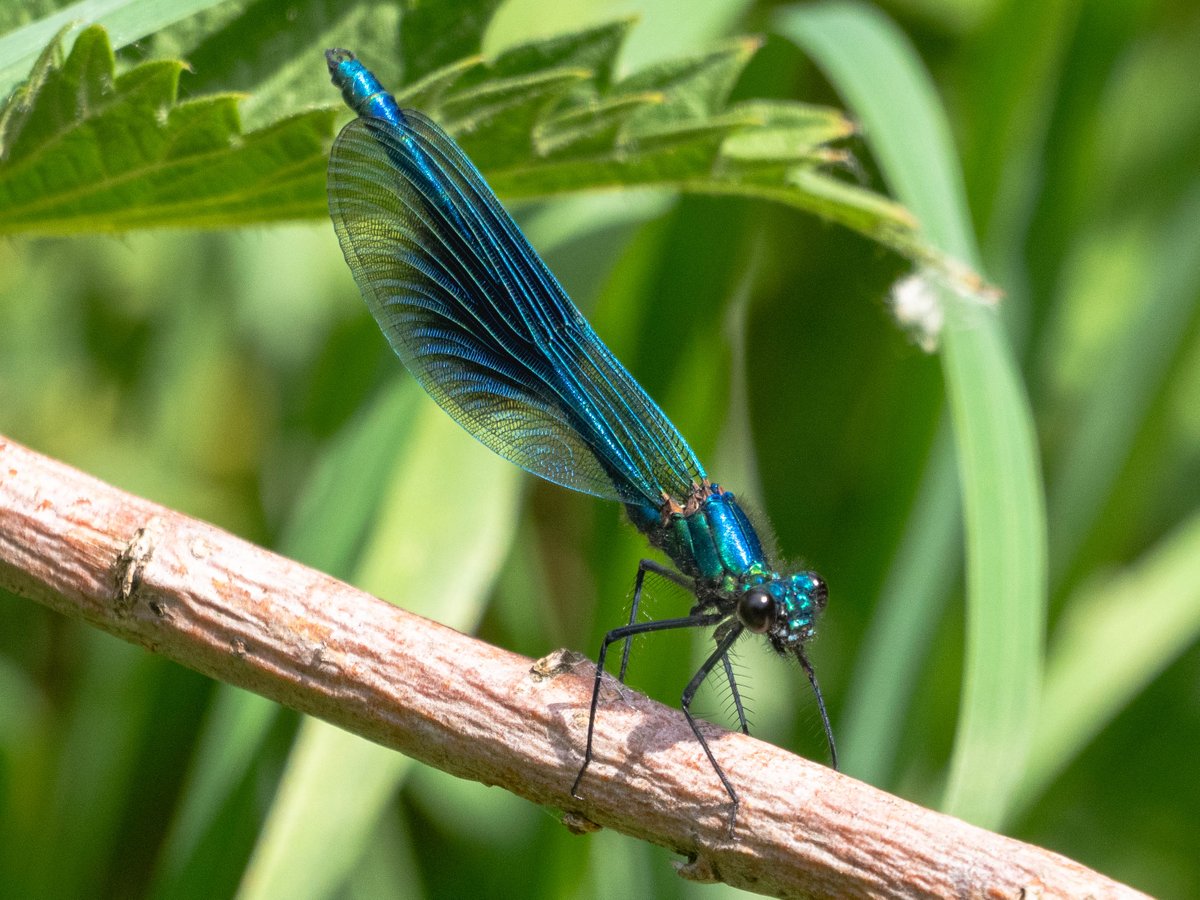 Andrew Gordon tweet media