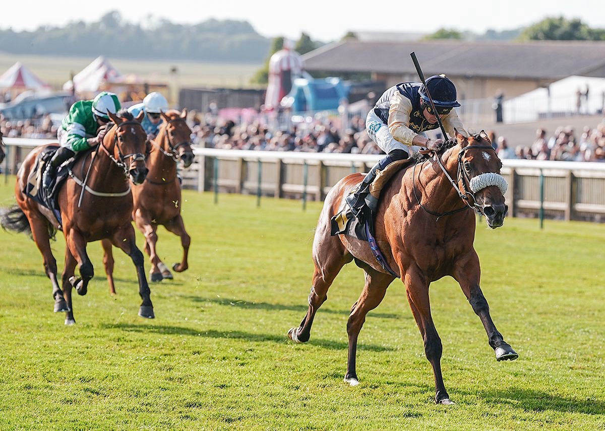 Billy Jackson Stops (@jsbloodstock) on Twitter photo 🟡Marchogian 🟡(Mehmas <a href="/HoStud/">Tally-Ho Stud</a>) stretches away from his rivals to record his second career success this evening at Newmarket for trainer <a href="/AndrewBalding2/">Andrew Balding</a> and owners <a href="/OpThoroughbreds/">OpulenceThoroughbreds</a> 🏆
Purchased as a <a href="/BrzUps/">Breeze Up Sales</a> from the <a href="/Tattersalls1766/">Tattersalls</a> Guineas Sale with <a href="/OpThoroughbreds/">OpulenceThoroughbreds</a> 🟡Marchogian 🟡(Mehmas <a href="/HoStud/">Tally-Ho Stud</a>) stretches away from his rivals to record his second career success this evening at Newmarket for trainer <a href="/AndrewBalding2/">Andrew Balding</a> and owners <a href="/OpThoroughbreds/">OpulenceThoroughbreds</a> 🏆
Purchased as a <a href="/BrzUps/">Breeze Up Sales</a> from the <a href="/Tattersalls1766/">Tattersalls</a> Guineas Sale with <a href="/OpThoroughbreds/">OpulenceThoroughbreds</a>