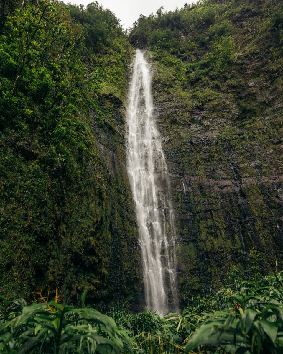 Four Seasons Resort Maui (@fsmaui) on Twitter photo Hidden trails, cascading falls, and moments that take your breath away.
Let our Concierge craft a day of discovery, where Mauiās natural wonders become part of your story.
Captured by <a href="/marco/">Marco Kaiser</a>.miglionico
#FSMaui #FourSeasons #Maui Hidden trails, cascading falls, and moments that take your breath away.
Let our Concierge craft a day of discovery, where Mauiās natural wonders become part of your story.
Captured by <a href="/marco/">Marco Kaiser</a>.miglionico
#FSMaui #FourSeasons #Maui