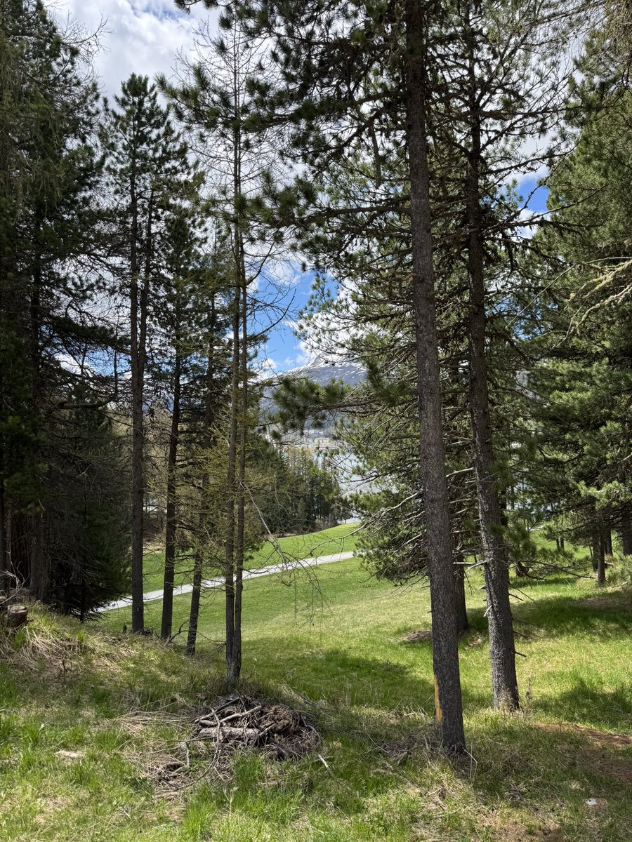 editsc's tweet image. Natur pur