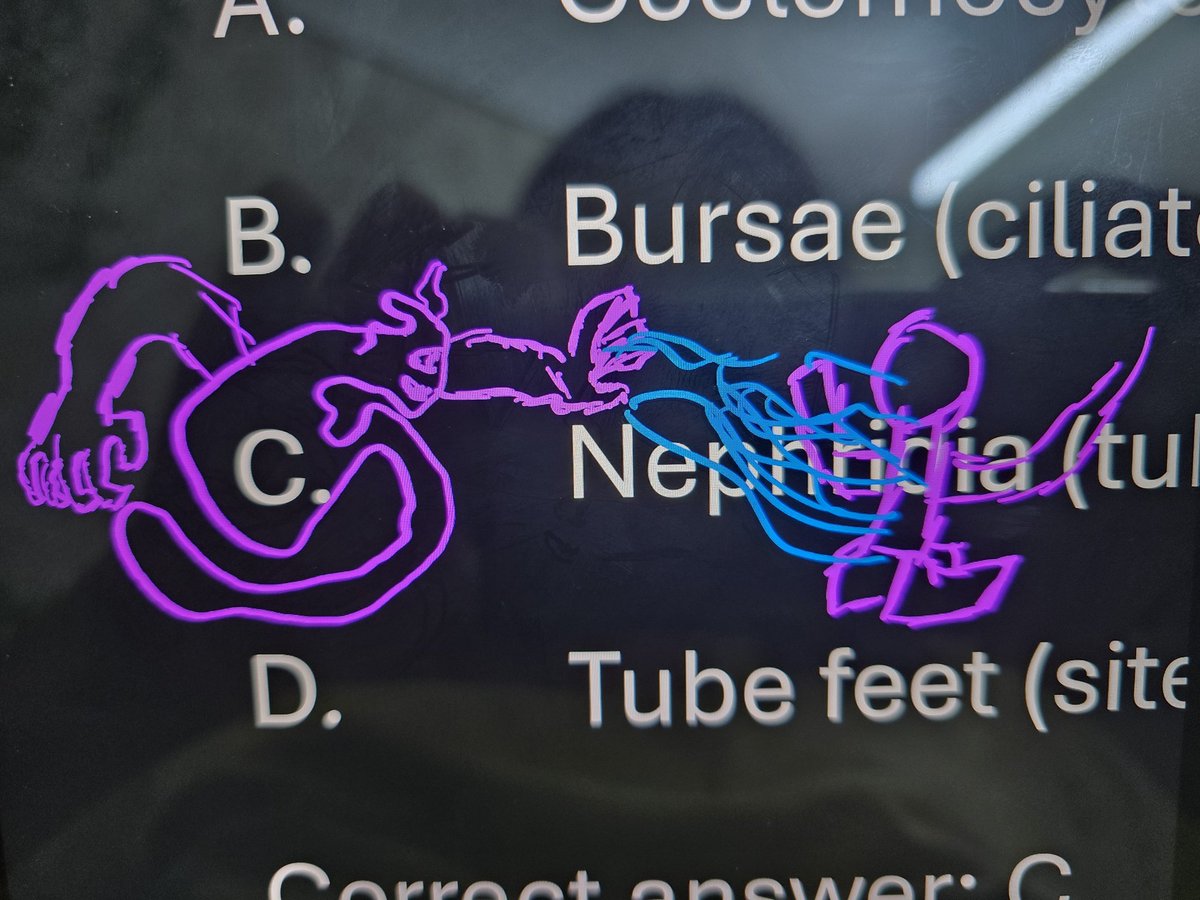 ما ادري ايش ذا...اظن كأنه جني يسحب روح شخص؟
سويت خرابيط وانا ارسم الدائرة على اساس ان الاجابة C و كملتها رسمة